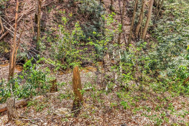 1100 Panther Branch Road, Canton, NC 28716
