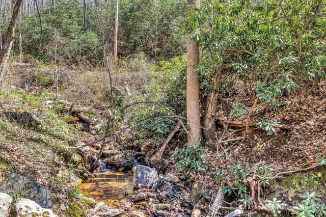 1100 Panther Branch Road, Canton, NC 28716