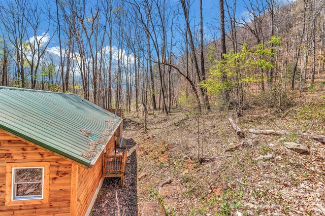 1100 Panther Branch Road, Canton, NC 28716