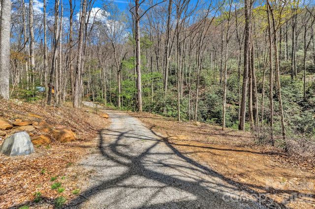 1100 Panther Branch Road, Canton, NC 28716