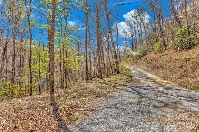1100 Panther Branch Road, Canton, NC 28716