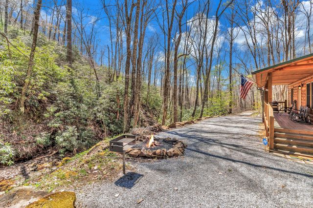 1100 Panther Branch Road, Canton, NC 28716