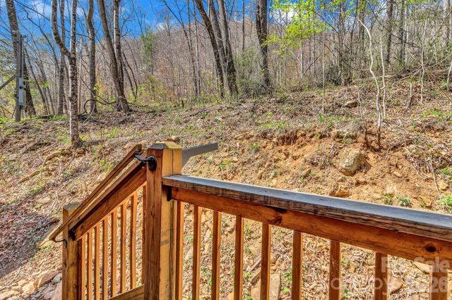 1100 Panther Branch Road, Canton, NC 28716