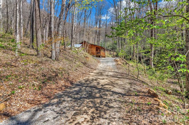 1100 Panther Branch Road, Canton, NC 28716