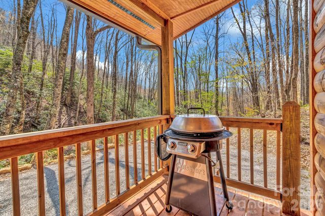 1100 Panther Branch Road, Canton, NC 28716