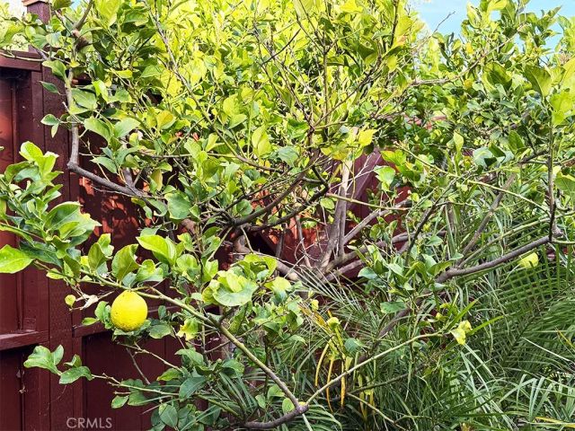 555 Hickory Lane, Pasadena, CA 91103