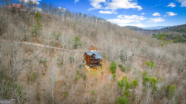 161 Cub Trail, Cherry Log, GA 30522