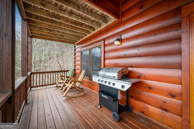 161 Cub Trail, Cherry Log, GA 30522