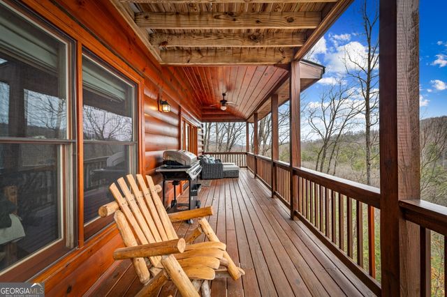 161 Cub Trail, Cherry Log, GA 30522