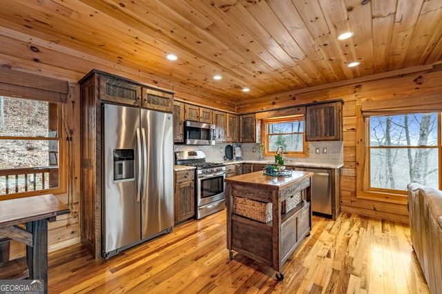 161 Cub Trail, Cherry Log, GA 30522