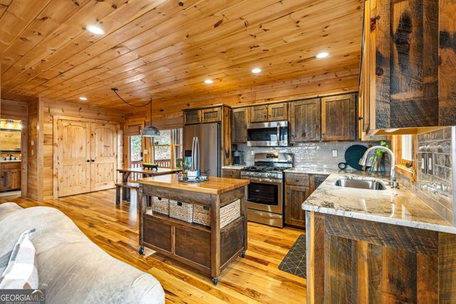 161 Cub Trail, Cherry Log, GA 30522