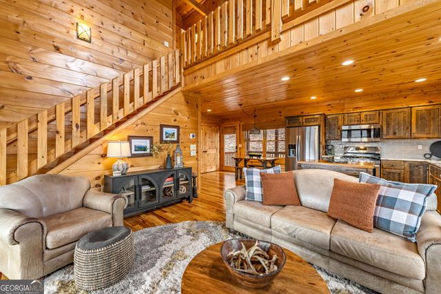 161 Cub Trail, Cherry Log, GA 30522