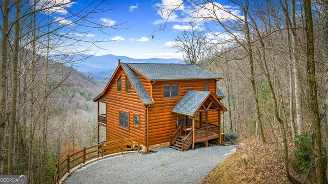 161 Cub Trail, Cherry Log, GA 30522