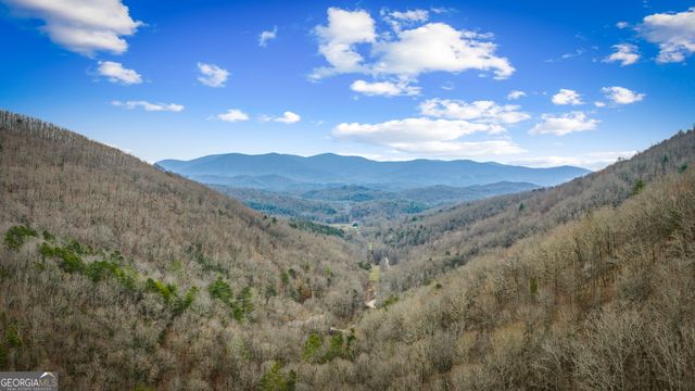 161 Cub Trail, Cherry Log, GA 30522