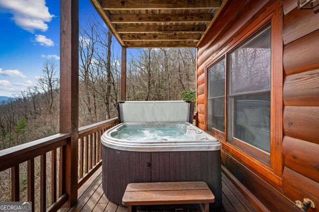 161 Cub Trail, Cherry Log, GA 30522