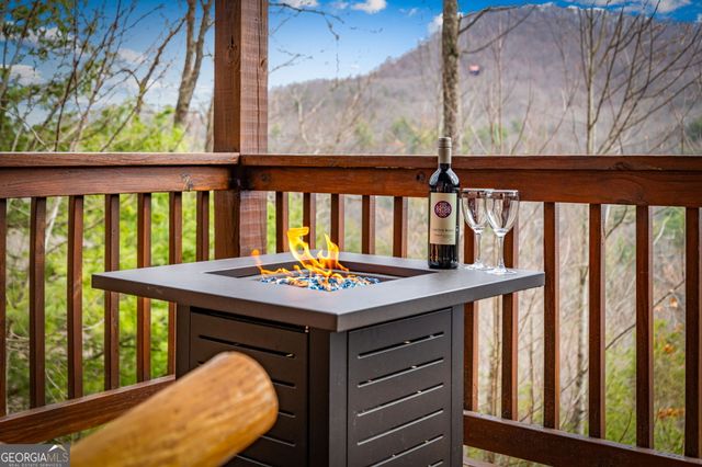 161 Cub Trail, Cherry Log, GA 30522