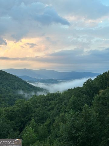 161 Cub Trail, Cherry Log, GA 30522