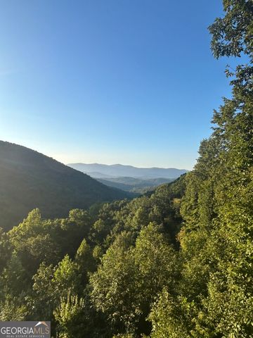 161 Cub Trail, Cherry Log, GA 30522