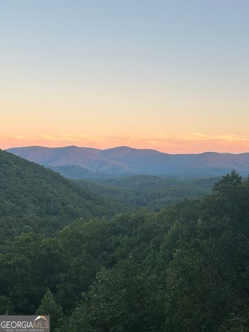 161 Cub Trail, Cherry Log, GA 30522