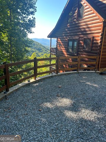 161 Cub Trail, Cherry Log, GA 30522