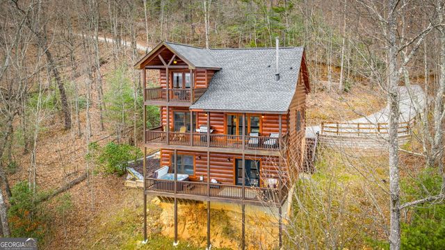 161 Cub Trail, Cherry Log, GA 30522