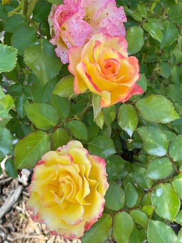 2947 156th Ave NE, Norman, OK 73026