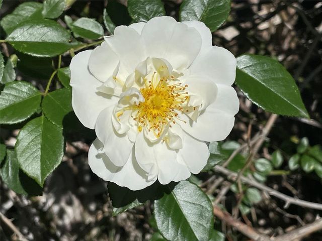 2947 156th Ave NE, Norman, OK 73026