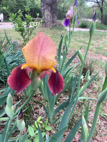 2947 156th Ave NE, Norman, OK 73026