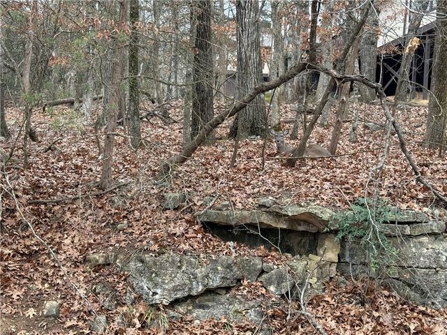 TBD Beaver Drive, Holiday Island, AR 72631