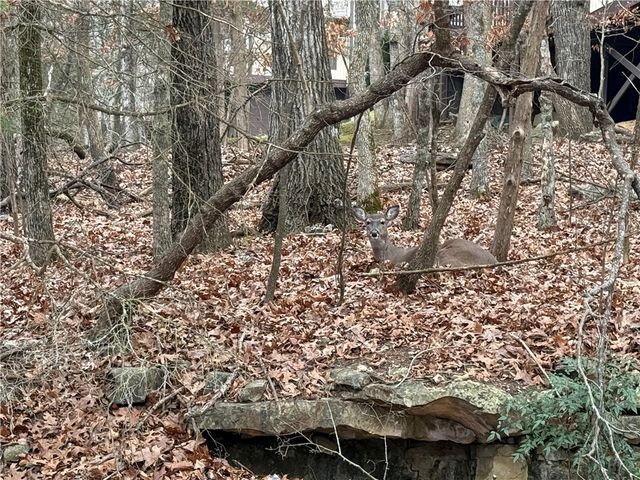 TBD Beaver Drive, Holiday Island, AR 72631