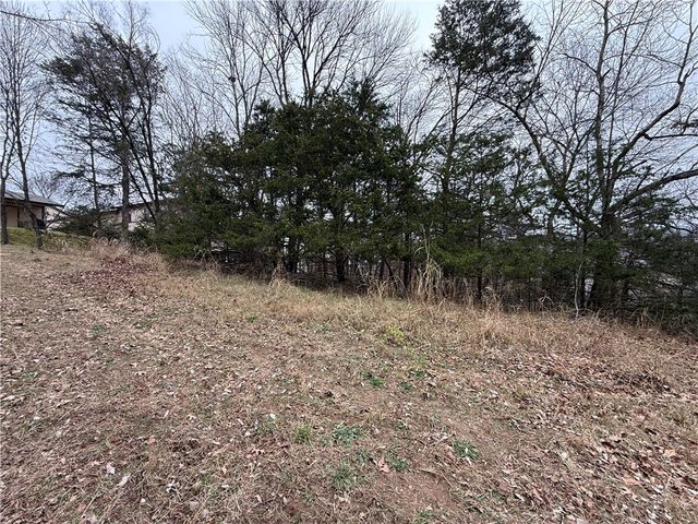 TBD Beaver Drive, Holiday Island, AR 72631