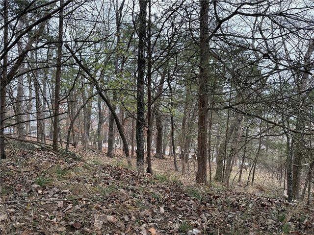 TBD Beaver Drive, Holiday Island, AR 72631