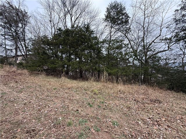 TBD Beaver Drive, Holiday Island, AR 72631