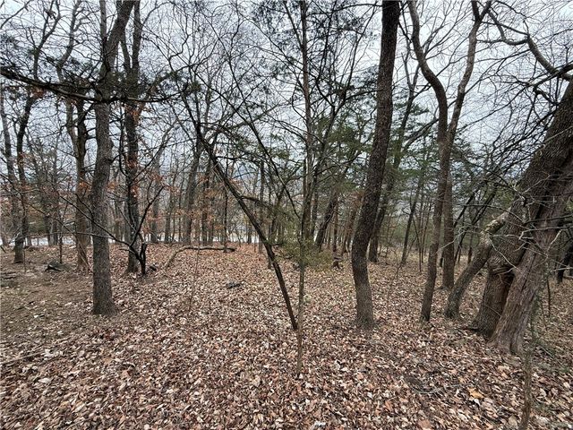 TBD Beaver Drive, Holiday Island, AR 72631