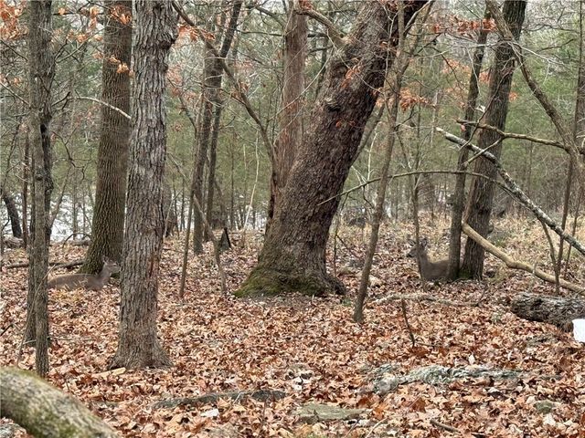 TBD Beaver Drive, Holiday Island, AR 72631