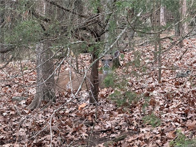 TBD Beaver Drive, Holiday Island, AR 72631