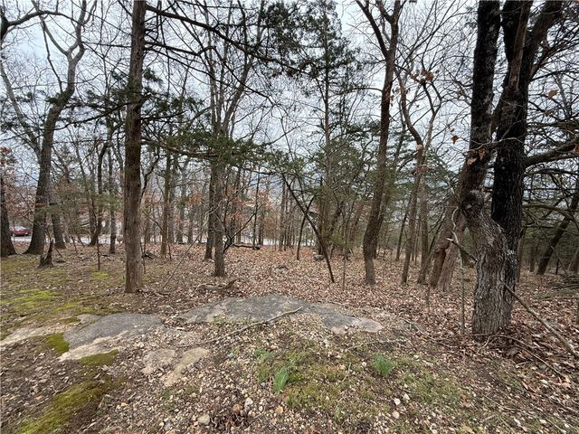 TBD Beaver Drive, Holiday Island, AR 72631