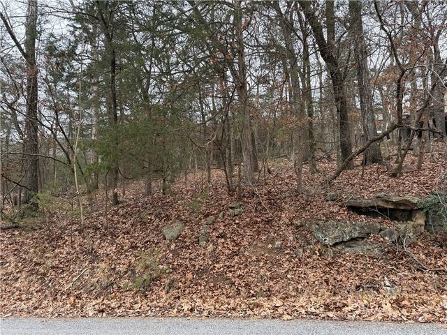 TBD Beaver Drive, Holiday Island, AR 72631