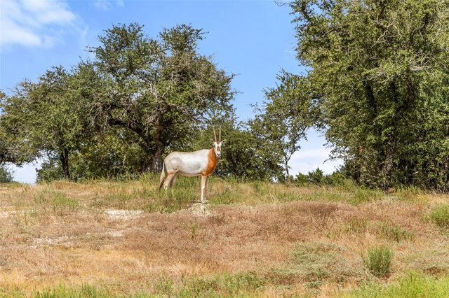 136 Legacy Hills DR, Johnson City, TX 78636
