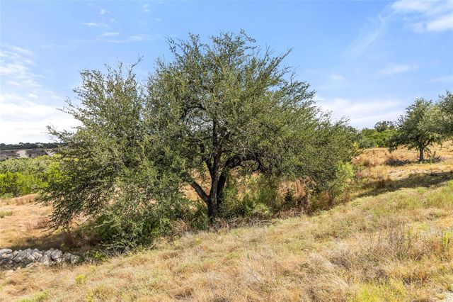 136 Legacy Hills DR, Johnson City, TX 78636