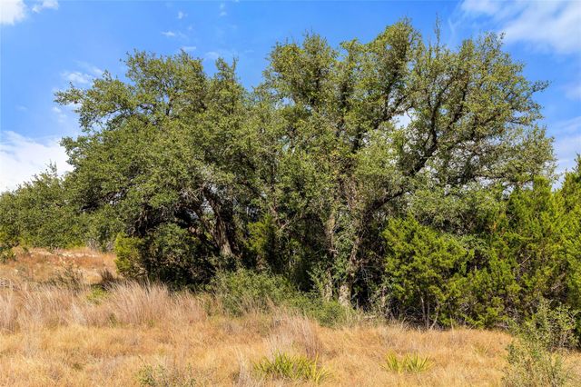 136 Legacy Hills DR, Johnson City, TX 78636
