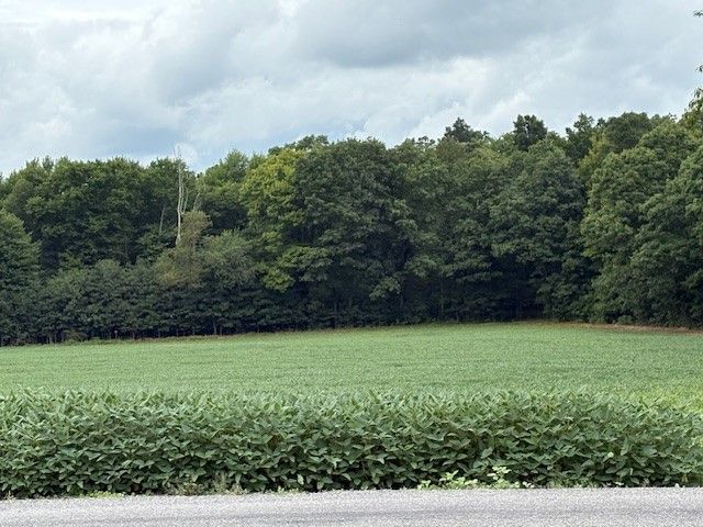 00 Hilliard, Washington Twp, PA 16050