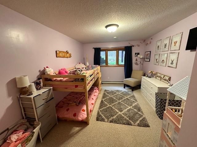 9063N Anderson Road, Hayward, WI 54843