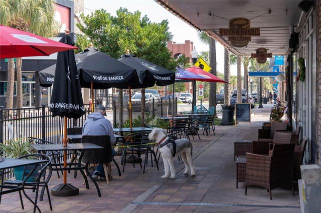 9209 HARRIS HAWK DRIVE, Leesburg, FL 34788