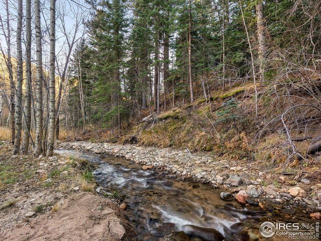 1035 Streamside Drive, Glen Haven, CO 80532