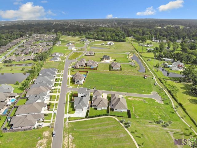 88 Silver Creek Ct, Prairieville, LA 70769