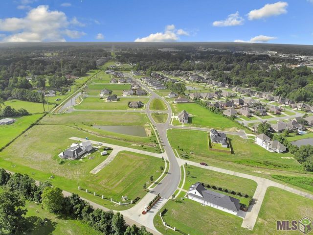 88 Silver Creek Ct, Prairieville, LA 70769