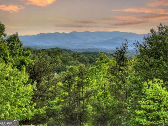 291 Pine Pass Circle, Mineral Bluff, GA 30559
