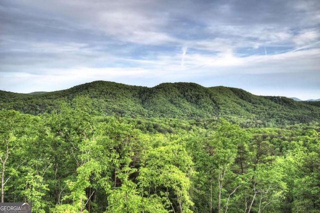 291 Pine Pass Circle, Mineral Bluff, GA 30559