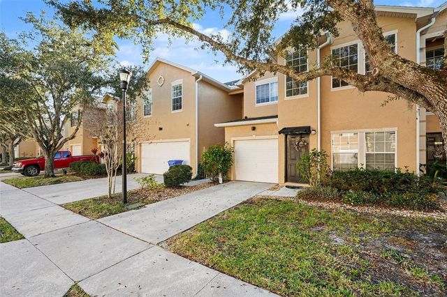 16318 PARKSTONE PALMS COURT, Tampa, FL 33647